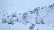 Hakkari sınırında mayıs ayında kar sürprizi
