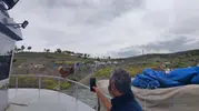 Yozgat Süreyya Bey Barajı’nda kaptan koltuğuna tavuk geçti