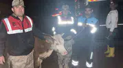 Siverek’te hırsızlara 40 saatlik kamera takibi