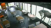 Samsun'da bir kafe yılkı atının hedefi oldu