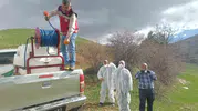 Gümüşhane’de çekirge istilası tarım arazilerini tehdit ediyor