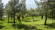Şırnak'ta yaşam alanları ve mezarlıklar yaza hazırlanıyor