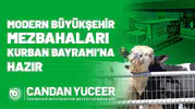 Tekirdağ'da kurban kesimleri için randevu dönemi başladı