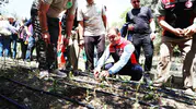 Muğla salep üretiminde Türkiye ikincisi oldu