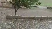Şanlıurfa Siverek’te dolu yağışı ekili alanları vurdu