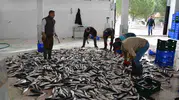 Muğla ihracatta vites yükseltti