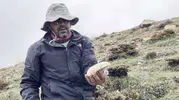 Erzincan dağlarında yetişen çaşır mantarı fiyatıyla şaşırtıyor
