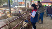 Aydın’da bayram mesaisi sahada başlıyor