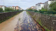 Cide'de dereye karışan kimyasallar denize ulaştı