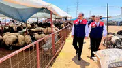 Mersin'de kurban pazarları bayram öncesi mercek altına alındı