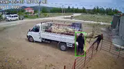 Kamyonetten indirdiği koçun saldırısıyla yere çakıldı
