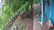 Malatya depreminde kedilerin korku dolu anları kameraya yansıdı