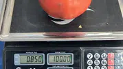 Aydın pazarında dev domates şaşkınlığı