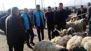 Çaldıran pazarında kurban alışverişine manevi rehberlik