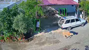 Mersin sokaklarında kurbanlık kovalamacası