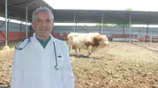 Kurbanlık hayvanlarınızı kesime hazırlarken bu kurallara dikkat edin