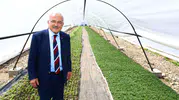 Ordu dışarıdan çiçek almayı bıraktı kendi serasında üretiyor