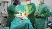 Bayburt Devlet Hastanesi’nde 27 taşlık operasyon