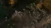 Ardeşen'de şiddetli yağış köy yolunu trafiğe kapattı