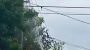 Aksaray'da elektrik direğinde can pazarı