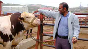 Van kurban pazarında pazarlık mesaisi başladı