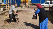 Samsun pazarında kurban bereketi ikinci güne taştı