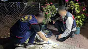 İskenderun’daki bir iş yerine düzenlenen baskında uyuşturucu ve silah yakalandı