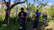 Akyurt sokaklarında kurbanlık dana kovalamacası