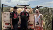 Didim’de çalınan kurbanlıklar jandarmanın takibiyle bulundu