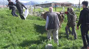 Erzurum'da kurban telaşı acıyla sonuçlandı