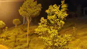 Elazığ’da geceyi savuran şiddetli fırtına yaşamı aksattı