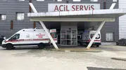 Tekirdağ'da arı saldırısı yaşlı çifti hastaneye düşürdü
