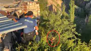 Nevşehir'de hastaneden kaçan genç dere yatağında ağaca takıldı
