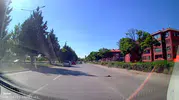 Trafiğin ortasında kalan kaplumbağayı kurtardı