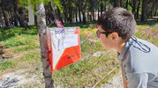Manisa’da gençler hem koştu hem siyer bilgisini yarıştırdı