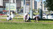 Osmangazi sokakları 260 bin çiçekle yaza hazırlanıyor