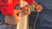 Kuşadası açıklarında vicdansızlığın böylesi görüldü
