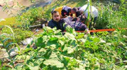 Antakya’da motosiklet dereye uçtu