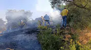 Bozdoğan’da alevler evlerin kapısına dayandı