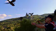 Tokat kırsalında yaban hayatı için yeni adım