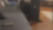 Katil zanlısının geçmişindeki şiddet dolu görüntüler ortaya çıktı