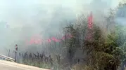 Karacabey yolunda yangın paniği yaşandı