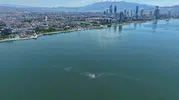 İzmir Körfezi kirlilikle boğuşuyor
