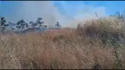 Silivri'de korkutan otluk yangını kontrol altına alındı