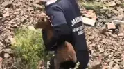 Arama ekipleri Şavşat’ta kayıp baba oğulu ararken yavru keçiyi fark etti