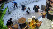 Giresun'da Sakar isimli kedi esnafın ceviz çuvalını devirdi