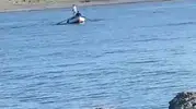 Bafra’da yasak dinlemediler Kızılırmak’ta ağ attılar