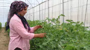 Adanalı kadınlar çorak tarlaları altın değerinde bahçelere dönüştürdü
