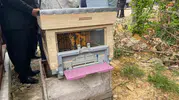 Sinop'ta arılar için 45 hektarlık dev yaşam alanı kuruldu