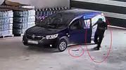 Hatay’da aracına binen sürücü yılanla karşılaştı